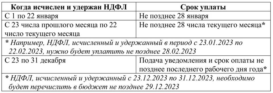 Налогообложение ООО: порядок и сроки уплаты налогов