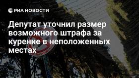 Что будет за штраф за курение в Парфюм-Лидер
