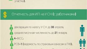 Что должен сдавать ИП на УСН в Парфюм-Лидер