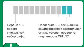 Что означают цифры в СНИЛС в Парфюм-Лидер
