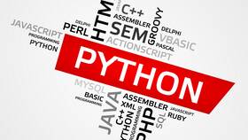 Как использовать Python в Парфюм-Лидер