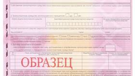 Как оформить полис ОСАГО онлайн самостоятельно