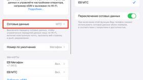 Как подключить мобильный интернет МТС на iPhone в Парфюм-Лидер