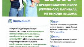 Как получить справку о пенсионных выплатах через Госуслуги