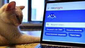 Как повысить уровень учетной записи на Госуслугах в Парфюм-Лидер