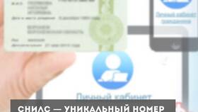 Как узнать номер СНИЛС без паспорта в Парфюм-Лидер