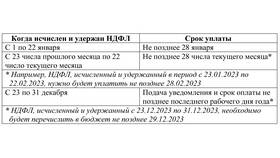 Налогообложение ООО: порядок и сроки уплаты налогов в Парфюм-Лидер