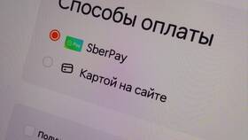Почему нельзя оплатить наличными в Dodo Pizza в Парфюм-Лидер