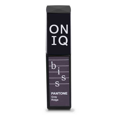 Гель-лак Oniq PANTONE: Gray ridge 6 мл в Парфюм-Лидер