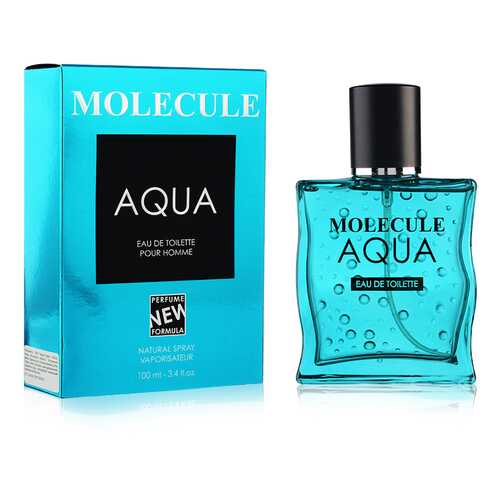 Туалетная вода для мужчин ПАРФЮМЕРИЯ XXI ВЕКА Molecule Aqua в Парфюм-Лидер